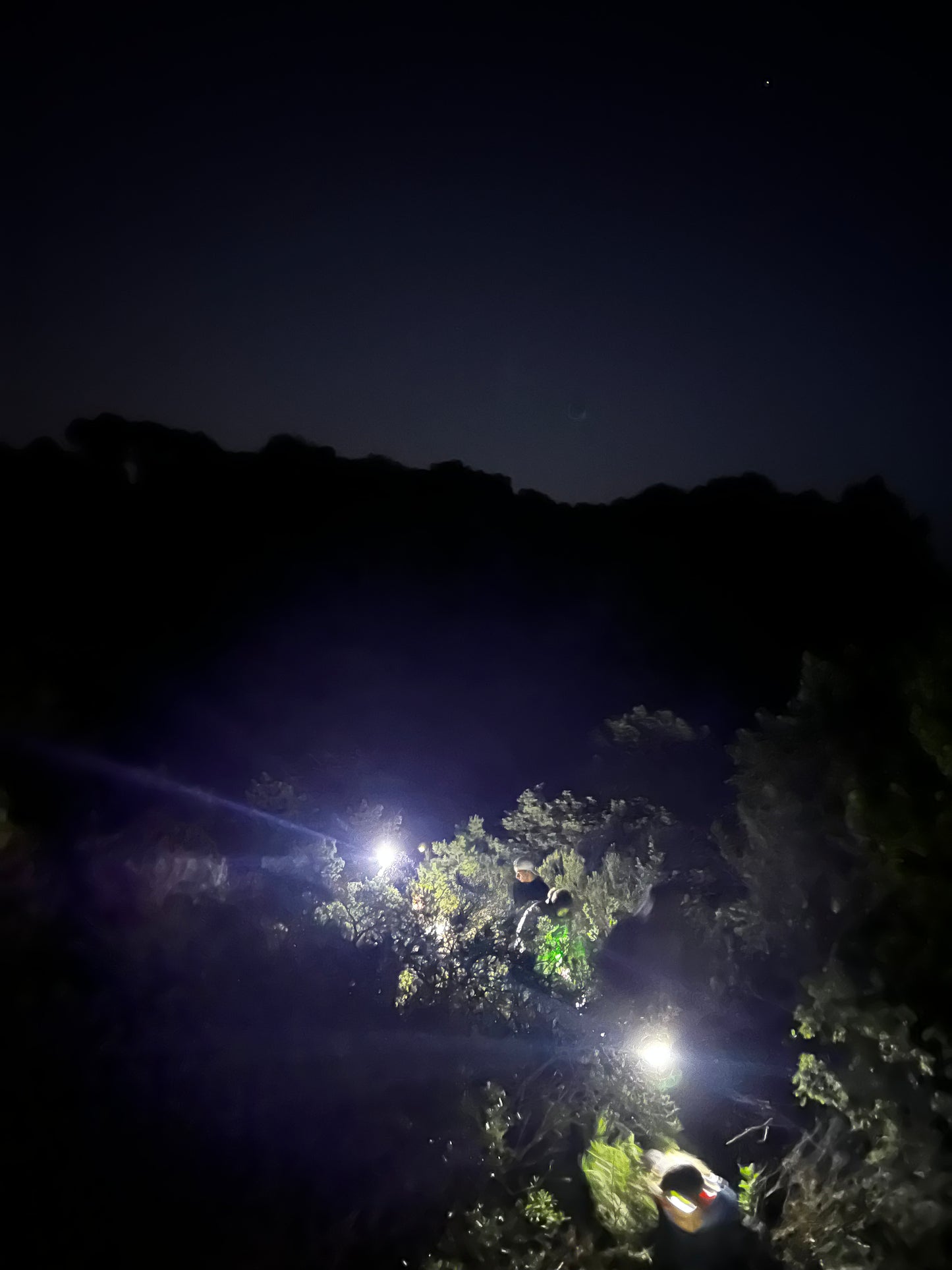 Randonnée Halloween : Frissons et Bonbons sous la Lune !